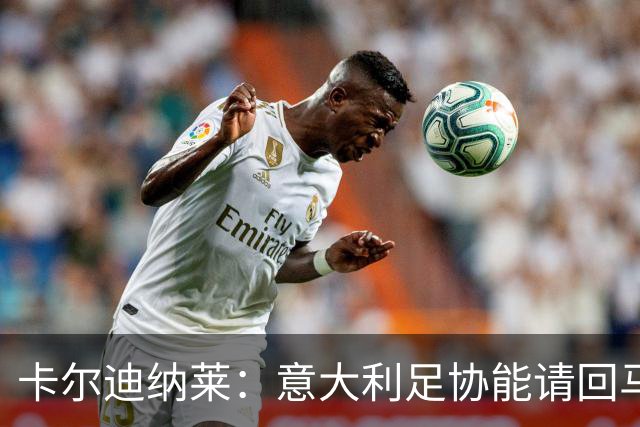 卡尔迪纳莱：意大利足协能请回马尔蒂尼，说明他们开始醒悟了